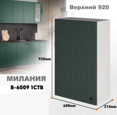 milaniia_v_6009 1stv_10